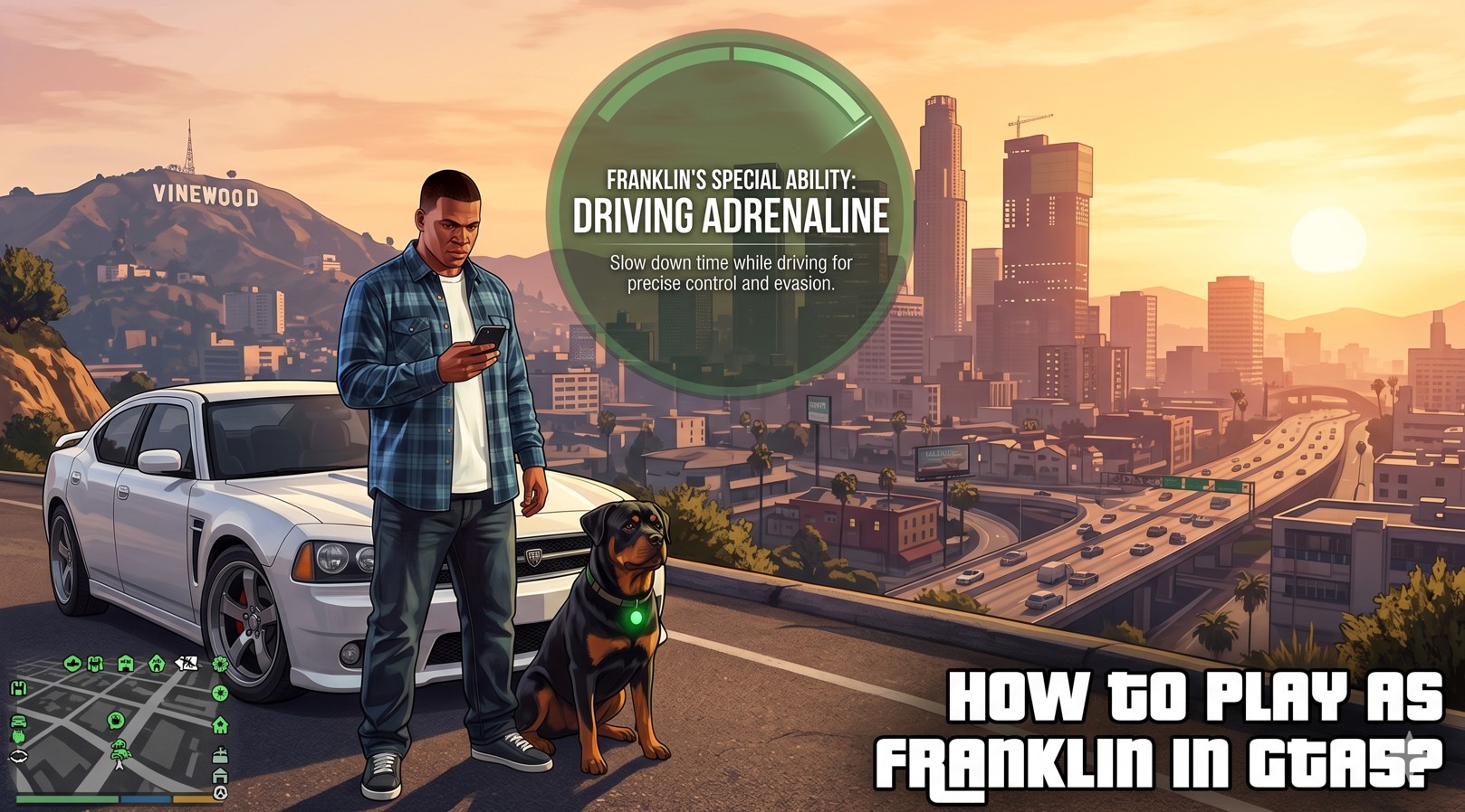 Franklin in GTA 5