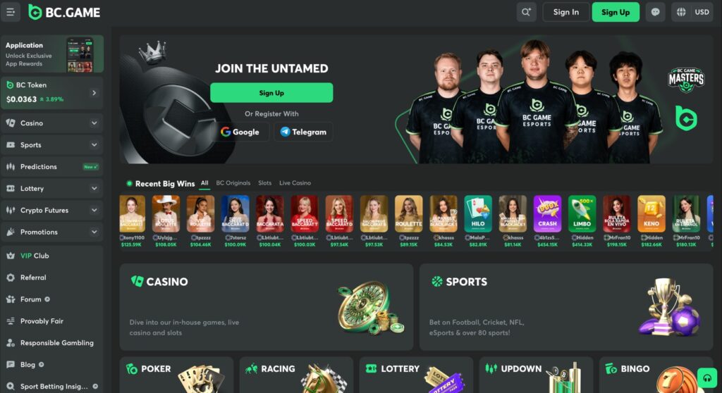 Bitcoin Casinos BC Game